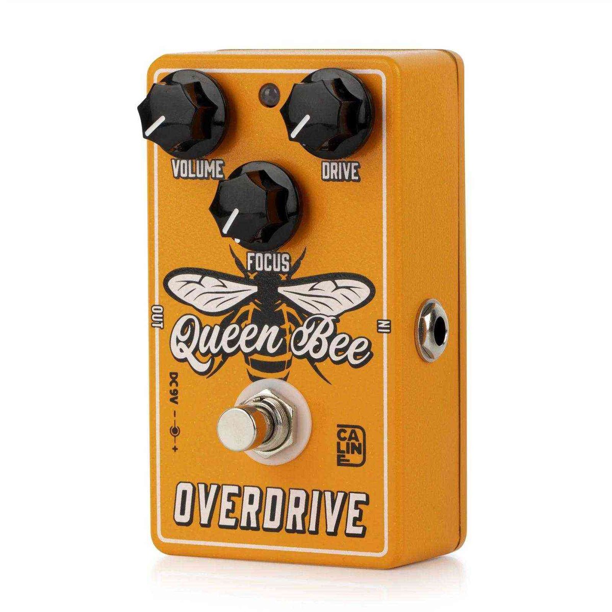 Caline CP-503 Queen Bee Overdrive Caline CP-503 Queen Bee Overdrive StompBoxStore
