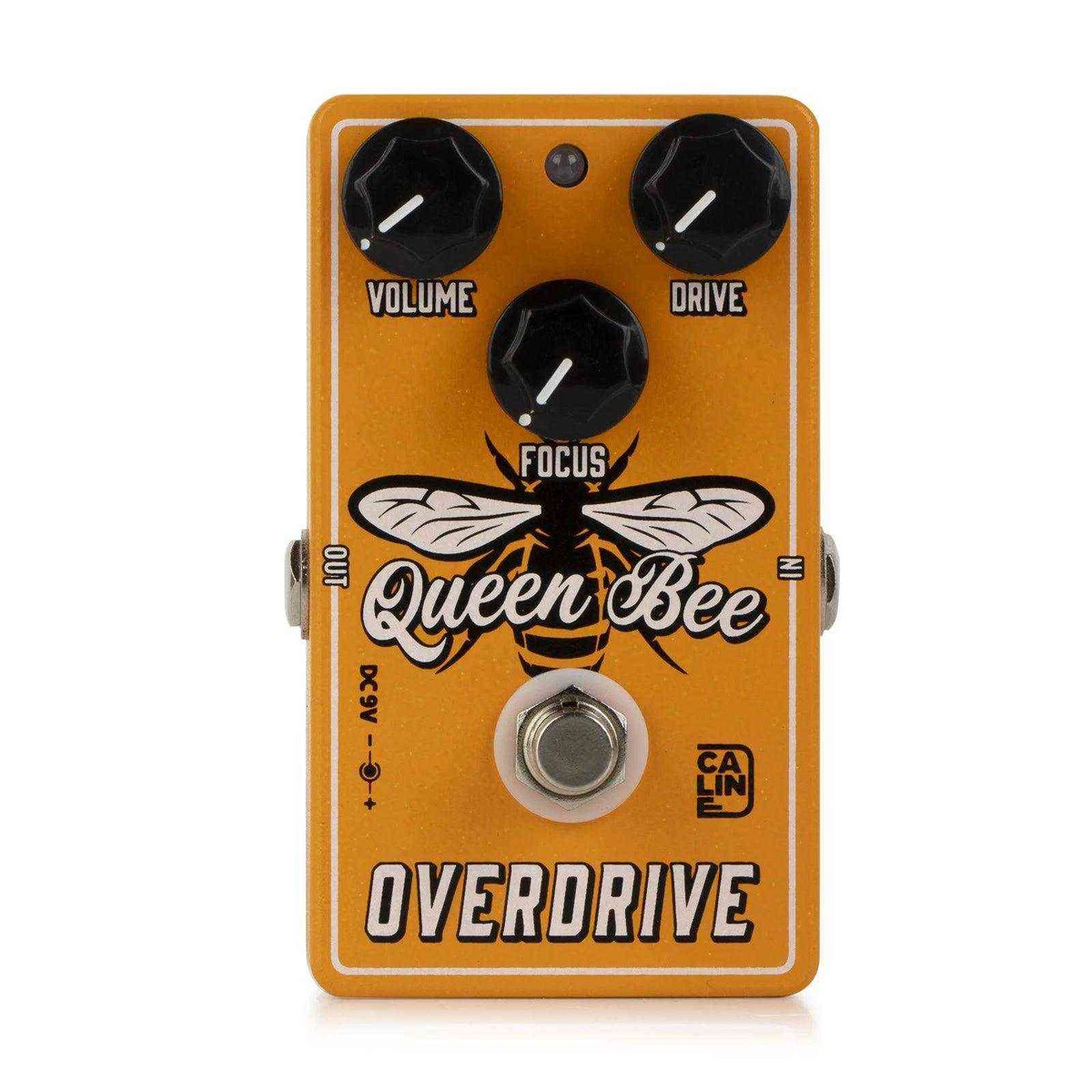 Caline CP-503 Queen Bee Overdrive pedal featuring a honey-colored design with volume, drive, and focus knobs. Delivers dynamic tube amp-style overdrive for blues and rock guitarists.